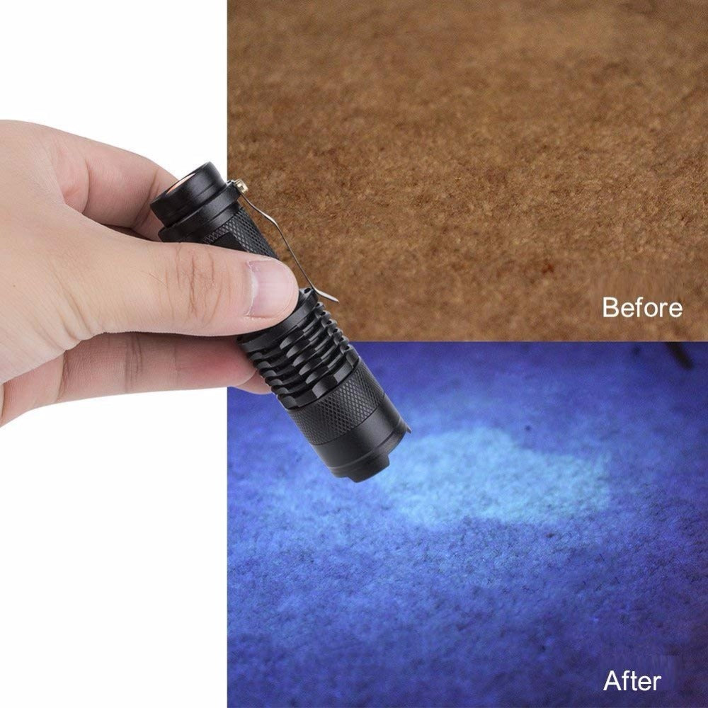 395nm 365nm flashlight detection light